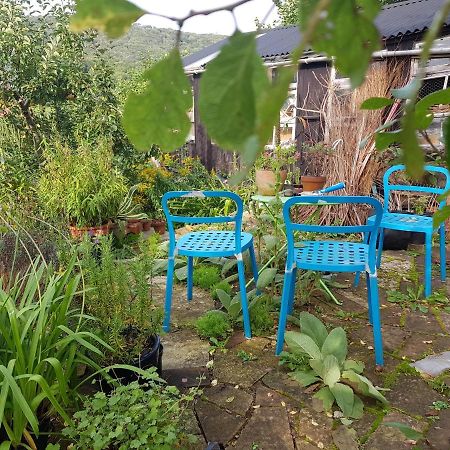 Missel Dene Hotel Rodney Stoke Bagian luar foto