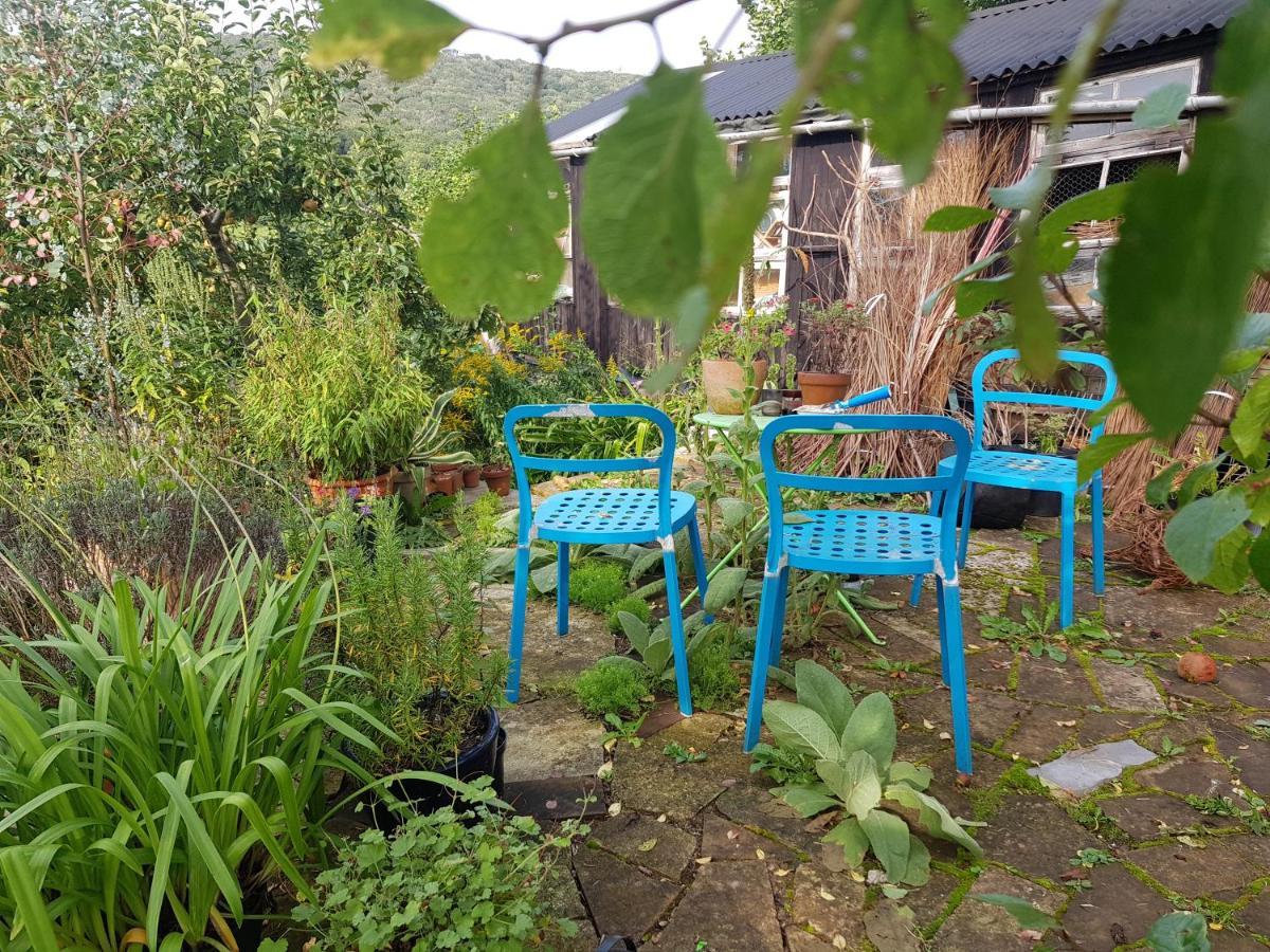 Missel Dene Hotel Rodney Stoke Bagian luar foto
